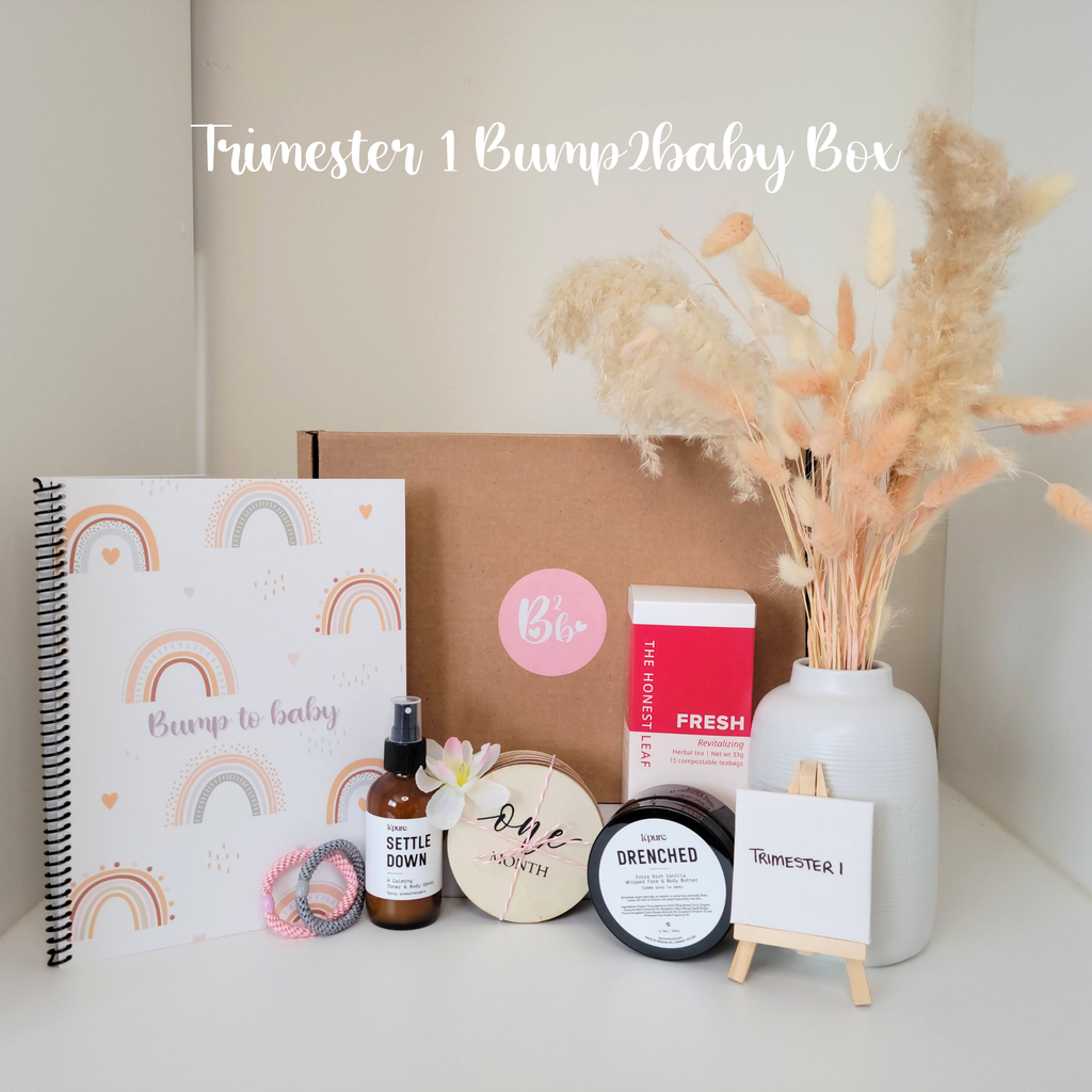Pregnancy Subscription Box -Trimester 1 | Bump2BabyBox